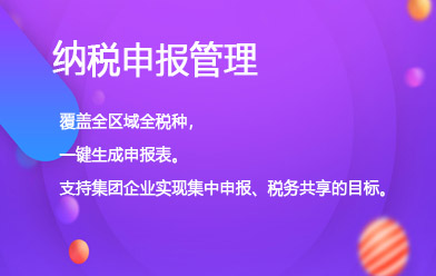 纳税申报管理